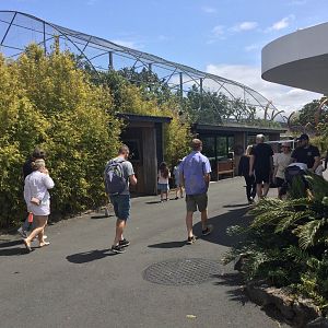 Old Sumatran Tiger Exhibit (2006-2019)