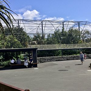 Old Sumatran Tiger Exhibit (2006-2019)