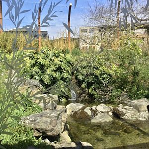 Sumatran Tiger Exhibit (Large) and Night House