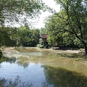 Lake in the older part of the zoo
