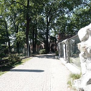 Owl castle and pallas' cat exhibit