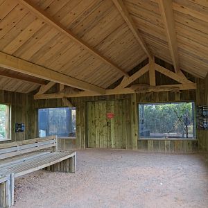 South America Enclosures with giant anteaters