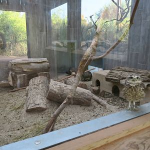 South America Enclosure