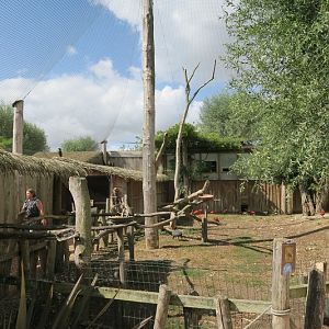 Africa - free flight aviary