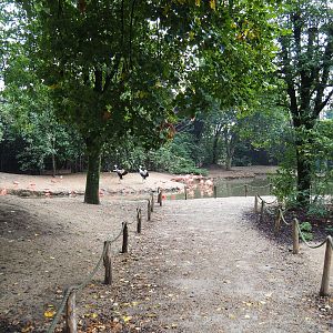Walkway in the Cathedral aviary, 2022-09-15