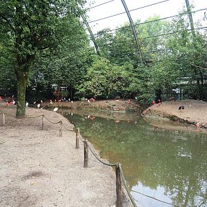View in the Cathedral aviary, 2022-09-15