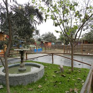 Petting zoo - Parque Zoológico Huachipa