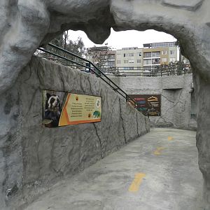 Spectacled bear complex (entrance) - Parque Zoológico Huachipa