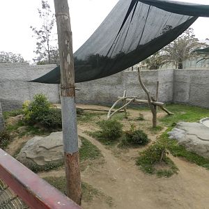 Spectacled bear complex (example of exhibit) - Parque Zoológico Huachipa