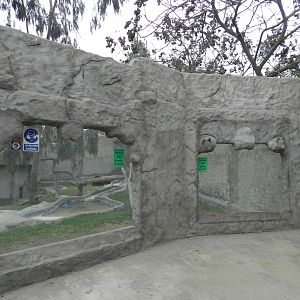 Spectacled bear complex (example of exhibit) - Parque Zoológico Huachipa