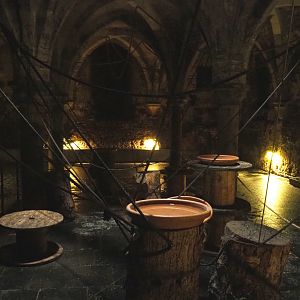 Crypt - Egyptian fruit bat walk-through exhibit, 2022-09-15