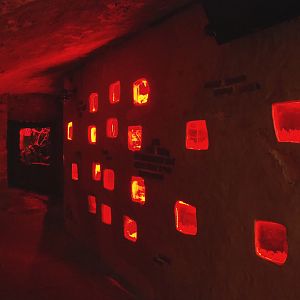 Crypt - Grey mouse lemur and Naked mole-rat exhibits, 2022-09-15