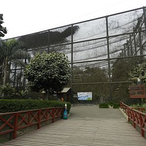 Bosque de las aves - Parque Zoológico Huachipa