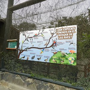 Bosque de las aves - Parque Zoológico Huachipa