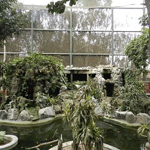 Bosque de las aves - Parque Zoológico Huachipa