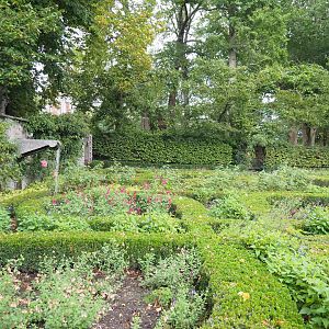 Walled herbal garden, 2022-09-15