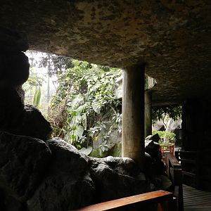 Bosque de las aves - Parque Zoológico Huachipa