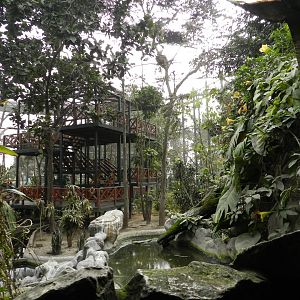 Bosque de las aves - Parque Zoológico Huachipa