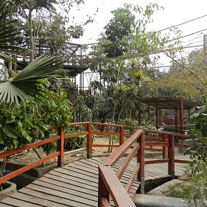 Bosque de las aves - Parque Zoológico Huachipa