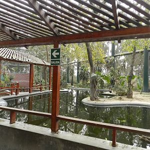 Bosque de las aves - Parque Zoológico Huachipa