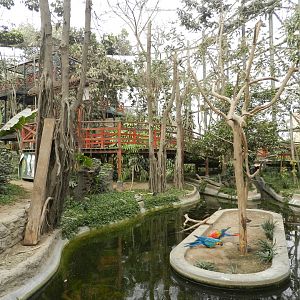 Bosque de las aves - Parque Zoológico Huachipa