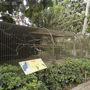 Aves de la Amazonia, razor-billed curassow exhibit  - Parque Zoológico Huachipa