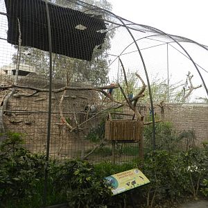Aves de la Amazonia, macaw aviary  - Parque Zoológico Huachipa