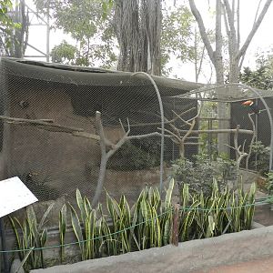Aves de la Amazonia, toco toucan exhibit - Parque Zoológico Huachipa