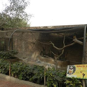 Aves de la Amazonia, spectacled owl exhibit - Parque Zoológico Huachipa