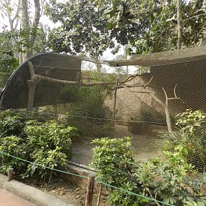 Aves de la Amazonia, exhibit with various young pheasants - Parque Zoológico Huachipa