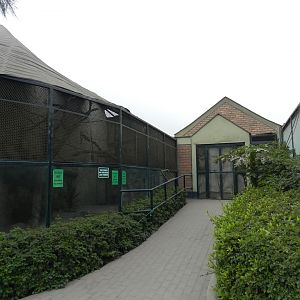 Primate exhibits - Parque Zoológico Huachipa