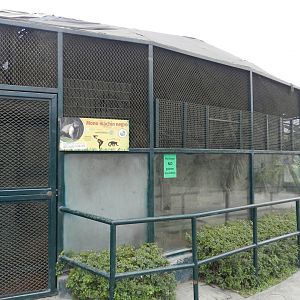 Capuchin monkey exhibit - Parque Zoológico Huachipa