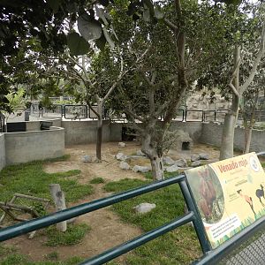 Red brocket deer exhibit - Parque Zoológico Huachipa