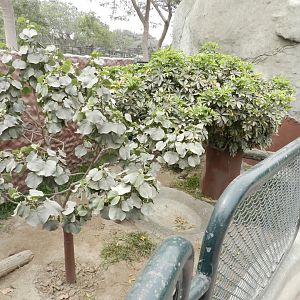 Empty exhibit - Parque Zoológico Huachipa