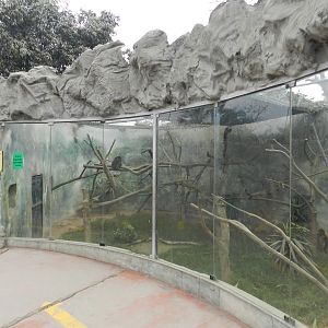 White-bellied spider monkey exhibit - Parque Zoológico Huachipa