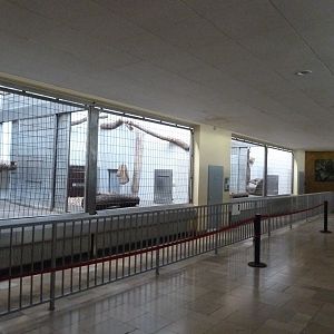 Raubtierhaus - Cages for North Chinese leopard