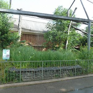 Raubtierhaus -  North Chinese leopard exhibit