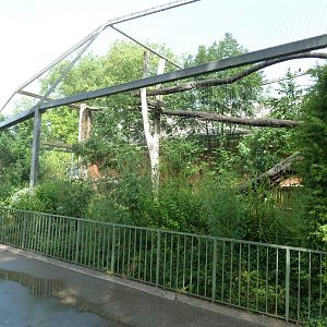 Raubtierhaus -  North Chinese leopard exhibit