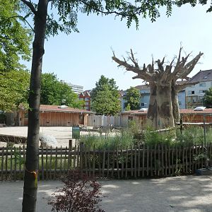 Grant's zebra enclosure