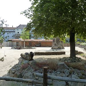 Grant's zebra enclosure