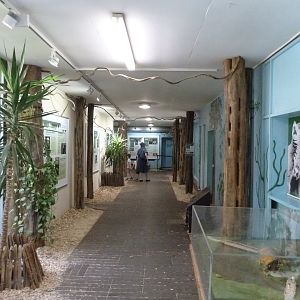 Affenhaus - Interior