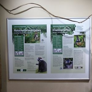 Affenhaus - Information board