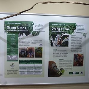Affenhaus - Information board