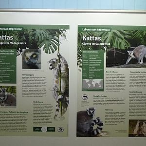 Affenhaus - Information board