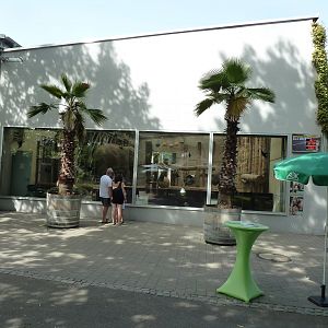 Dickhäuterhaus - Elephant holding