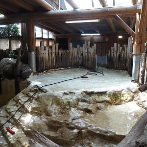 Dickhäuterhaus - Hippo enclosure