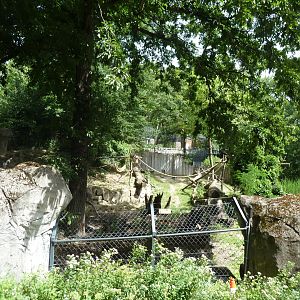 Nepalese red panda enclosure