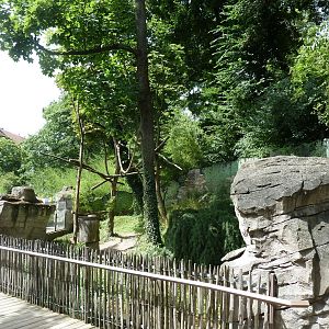 Nepalese red panda enclosure