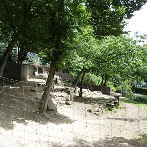 Persian gazelle enclosure