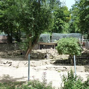 Persian gazelle enclosure